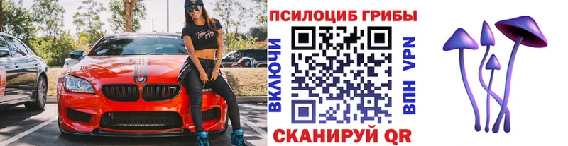 Галлюциногенные грибы Psilocybe  ОМГ ОМГ как зайти  Якутск  наркота 
