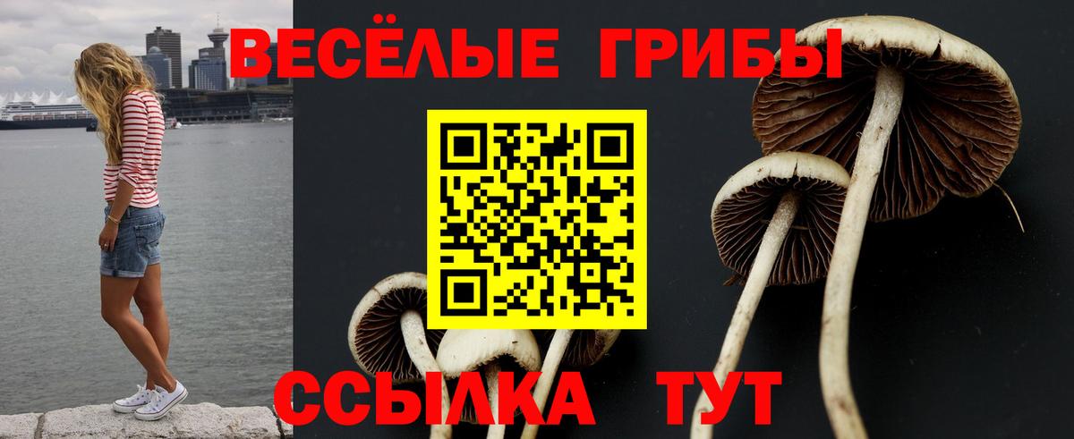 Галлюциногенные грибы ЛСД  Галлюциногенные грибы ЛСД  Вход с VPN  Якутск 